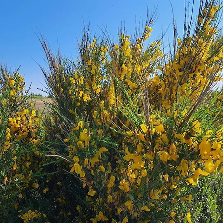 Σπίτι διακοπών 7 Person In Ulfborg-by Traum *