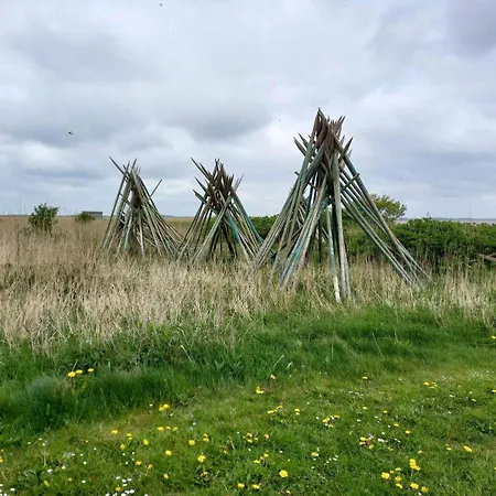 5 Star In Ulfborg Sønder Nissum